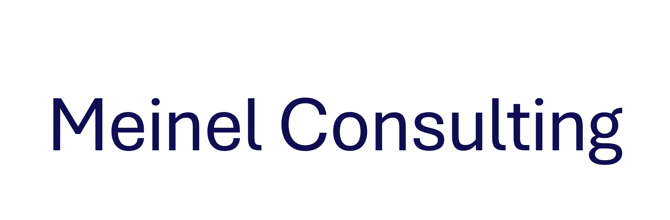 Meinel Consulting